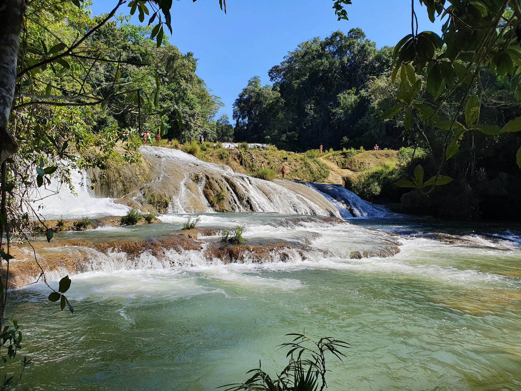 Roberto Barrios falls